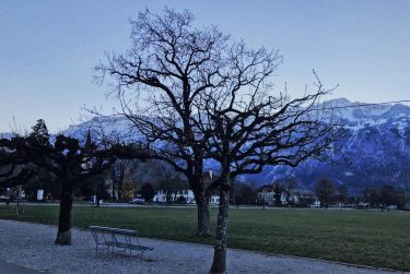 cold winter mornings in switzerland ???? – #switzerland #bnesimppl #tb #snow #naturephotography #bestoftheday #travelphotography&hellip;