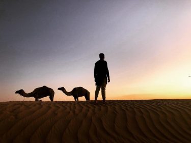 A good traveler has no fixed plans, and is not intent on arriving. •••••&hellip;