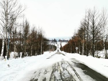 Road to Heaven #hokkaido #japantour #japantrip #filipinavlogger #traveler #traveladdict #travelphotography #travelblogging #travelpic #travelholic #travelvloggers&hellip;