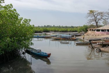 Next up, the canoe docking area of Lamin Lodge… you know, the place…