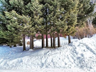 #hokkaido #japantour #japantrip #filipinavlogger #traveler #traveladdict #travelphotography #travelblogging #travelpic #travelholic #travelvloggers #travelvloggers #travelgrams #snow…