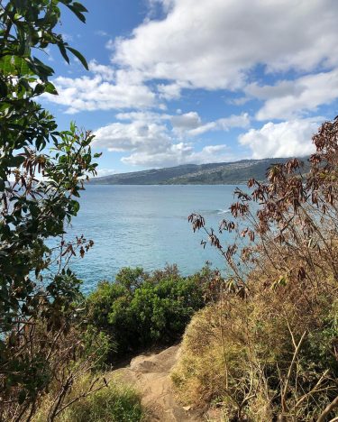 “Travel makes one modest. You see what a tiny place you occupy in the…