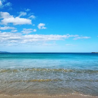 Endless summer days #blue #summertime #beachday #greatoceanroad #roadtrip #campinglife