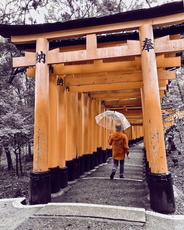 The Torii gates (鳥居) at Fushimi Inari Shrine (伏見稲荷大社): These gates date back to…