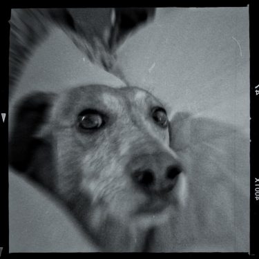 #fotartplgz #biancoenero #traveldestinations_ig #bnesimppl Edited with: @carbonblackandwhite _ #instagrammers #igers #instalove #instamood #instagood #followme&hellip;