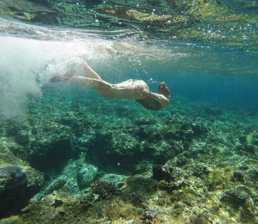 Looking for a turtle . . . . #philippines #palawan #sealife #snorkeling #paradiseisland #lifeisajourney…