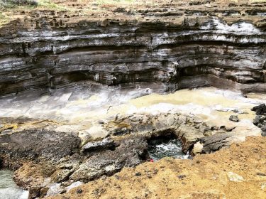 I finally hiked out to the famous “toilet bowl”. There was a seal there,…