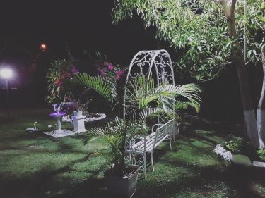 Green nights in Paradise at Avalon in Ocho #garden #gardenoftheGods #landofbeauty #sweetsweetjamaica #airbnb #islandlife…
