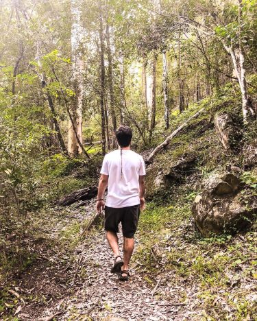 Glenworth Valley’e girerken yağmur ormanları tarafından mı yoksa nehir kenarından mı diye sorduklarında biz…