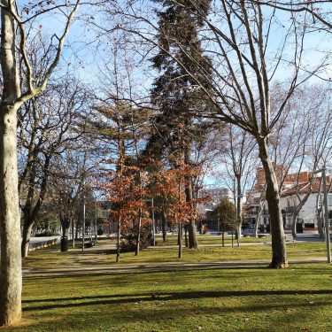 Parque del Salón #travelgram #instagramers #travelblogger #travelphotography #palencia #palenciadiferente #palenciamola #google #googlelocalguides #video #travelphoto…