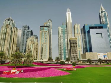 Loved how swiftly the landscape in Dubai changes; from skyscrapers to endless deserts, this…