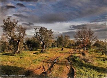 #fotoartistiche #fotartplgz #traveldestinations_ig #bnesimppl Edited with: @carbonblackandwhite _ #weather #skylovers #natureporn #amazing #skypainters #gf_daily…