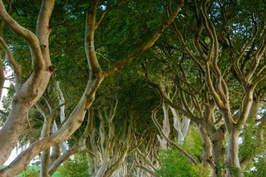 One of the many locations in Ireland that is featured in Game of Thrones!…