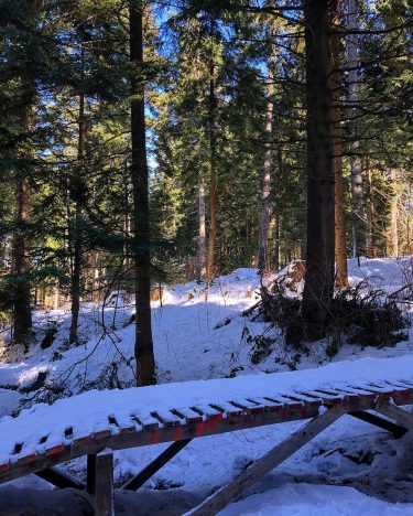 This holiday was it’s time for another one ️ . . . . .&hellip;