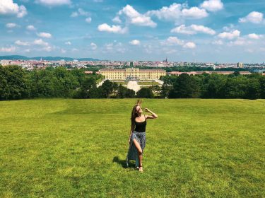 View of Vienna New blog post up! Link in bio . . . .…