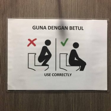 Just in case you forget how to use the toilet. Love the little quirky…
