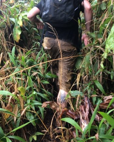 Three miles of hiking in the rainforest is no joke. That’s @teamwolfdaddy in front…