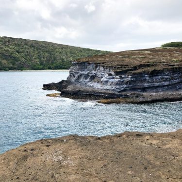 I saw so many great things today on my solo hike. Any suggestions on…