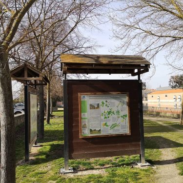 Panel informativo de arboleda y plantas en el canal de Castilla #travelgram #insta #natgeo&hellip;
