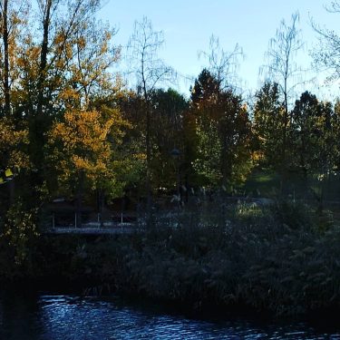 Río Carrion de Palencia #photography #photo #google #googlelocalguides #video #travelphoto #travelgram #instagramers #travelblogger #travelphotography&hellip;
