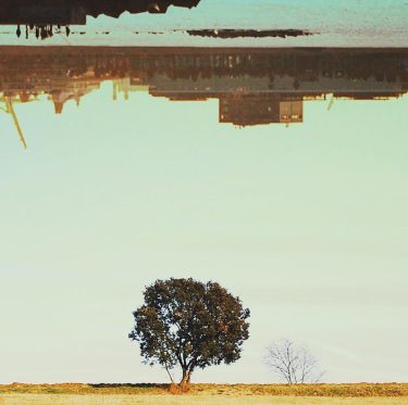 Flashes de una realidad distinta, configurada en sueños, un sinsentido que me atrapa hasta…