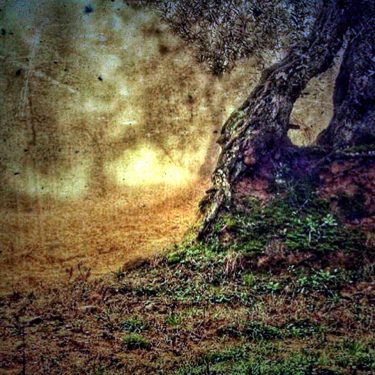 #fotartplgz #traveldestinations_ig #bnesimppl Edited with: @carbonblackandwhite _ #landscape #amazing #view #trip #tree #sky #mountains&hellip;