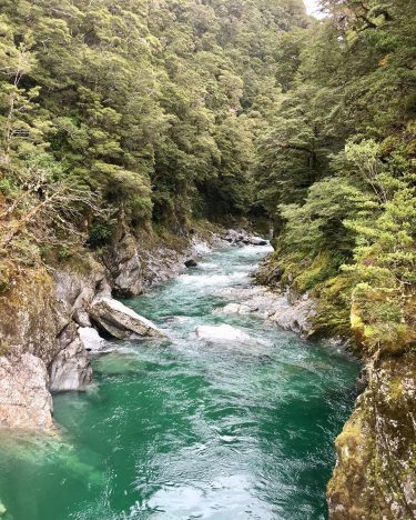 Mount Aspiring National Park, New Zealand #csmidlifegapyear #memories #travel #travelblogger #travelbug #tbt #photo #adventure&hellip;