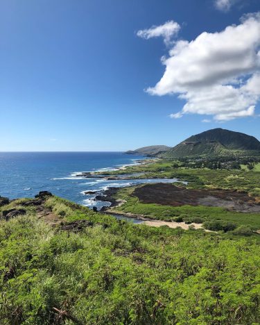 ”There is always some madness in love. But there is also always some reason&hellip;