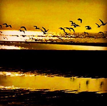 “perfect moment” . #earthscope #northsea #sunset #evening #walk #beachwalk #bnesimppl #walking #hike #hiking #hikingadventures…