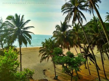 #wanderlust #goa #travelphotography #exploretocreate #travelblog #travelbug #explore #beautifuldestinations #beachlife #exploremore #travel #neverstopexploring #view #picoftheday…