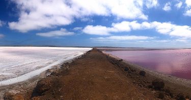 When someone tells you there is a pink you have to go and see…