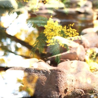 Ves cómo brillan esos momentos sobre el frío de la piedra? #doubleexposure #multipleexposure #experimentalphotography&hellip;