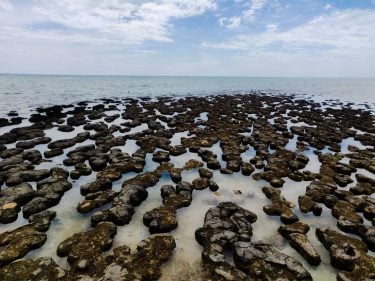 Es sieht aus wie ein paar Steine die aus dem Wasser ragen. Dahinter steckt…