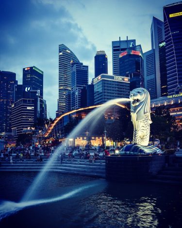Singapore’s National Icon! Location: Merlion Park, Singapore #photooftheday #picoftheday #traveladdict #traveller #travelling #globetrotter #wanderlust…
