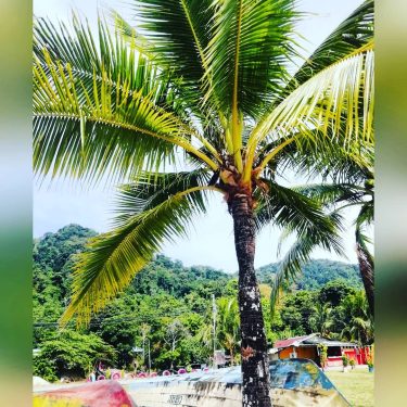 Fisherboats Pulau Tioman #Bnesimppl #solotravelling #boats #boat #palm #fishingboat #fishingboats #travellog #traveldiary #travelblog #travelasia…