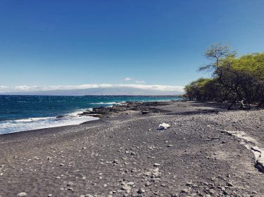“I travel because you can always get more money, but you can never get…