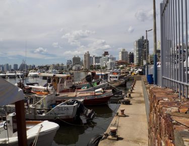 Lift the anchor and set sail! I am craving for fresh #puntadeleste #sea #uruguay…