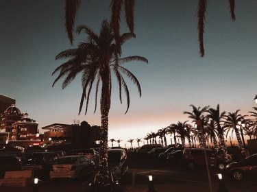 Hey paradise, put up a parking lot. ⠀⠀⠀⠀⠀⠀⠀⠀⠀⠀⠀⠀ ⠀⠀⠀⠀⠀⠀⠀⠀⠀⠀ ⠀⠀⠀⠀⠀⠀⠀⠀⠀⠀⠀⠀⠀⠀⠀⠀⠀⠀⠀ ⠀⠀⠀⠀⠀⠀⠀⠀⠀⠀⠀⠀ ⠀⠀⠀⠀⠀⠀⠀⠀⠀⠀⠀⠀ ⠀⠀⠀⠀⠀⠀⠀⠀⠀⠀⠀⠀ ⠀⠀⠀⠀⠀⠀⠀⠀…