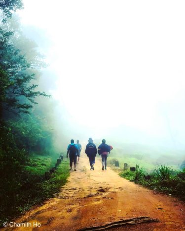 Into the Mist . . . #throwback #mist #woods #mistywoods #traveller #travelblogger #traveldiaries #travelholic…