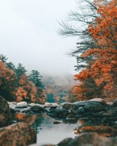 Follow @doveofpassage . . . #tlpicks #ig_skyvibes #wanderwomeninc #thedestinationspot #adventuresaddicted #doveofpassage #photographerfocus #land_of_advdntures #travel…
