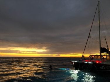 Talk about a great night to swim with the manta-rays. This was an experience…
