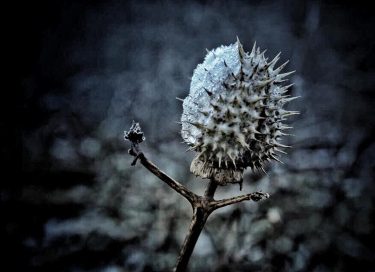 #fotartplgz #traveldestinations_ig #bnesimppl Edited with: @carbonblackandwhite _ #weather #skylovers #natureporn #amazing #skypainters #gf_daily #light&hellip;