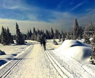 I love cross-country skiing – greetings from beautifull Jakuszyce (the Izerskie mountains in Poland)…