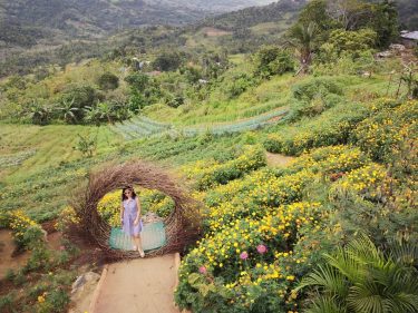 Flower power #darlingescapes #travelbuddies #dametraveler #wonderfulworld #chasingsummer #sheisnotlost #beautifulmatters #beautifuldestinations #liveoutdoors #myhappyplace #myhappyfeet #wanderlust…