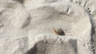 ⭕️We live in a wonderful world that is full of beauty, charm and adventure.&hellip;