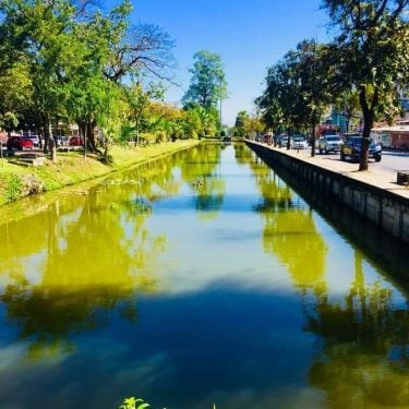 The colours in the moat around Chiang Mei Old city are immense #travel #worldwide…