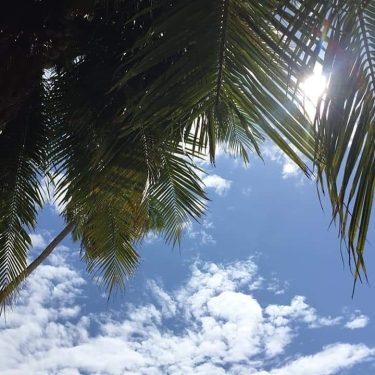 Don’t forget to seek some shade if the 40 degree heat is too much…