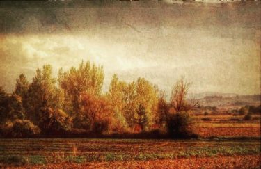 #fotartplgz #traveldestinations_ig #bnesimppl Edited with: @carbonblackandwhite _ #landscape #amazing #view #trip #tree #sky #mountains…
