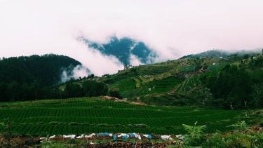Cordillera . . . . . . #sinopinas #travelholic #travelstoriesphilippines #travelblogger #traversephilippines #asia #natureza…