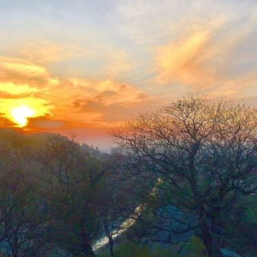 #sunset #sunsets #sunset_vision #sun #goldenhours #golden #naturephotography #nature_good #natureisamazing #naturelovers #nature #coloursoflife #coloursofnature #colourscheme…